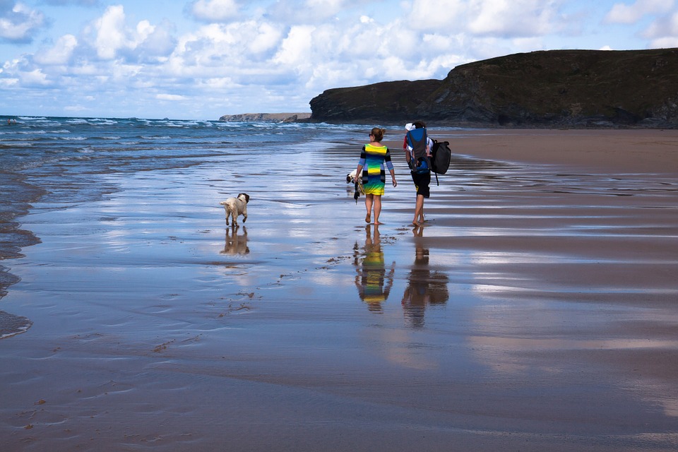 chien famille et plage