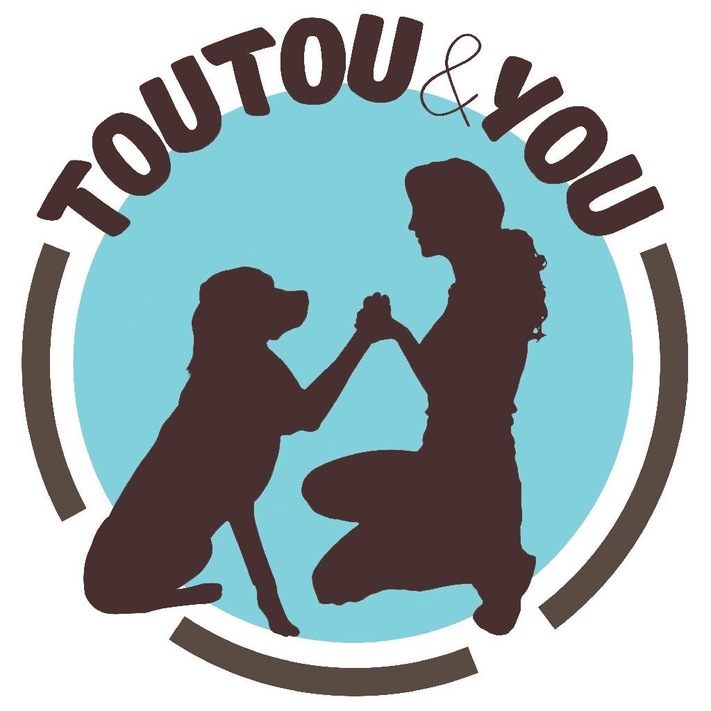 Donner des os à son chien ? Oui maisu2026 - Toutouandyou