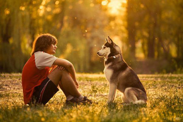 adolescent_et_son_husky.jpg